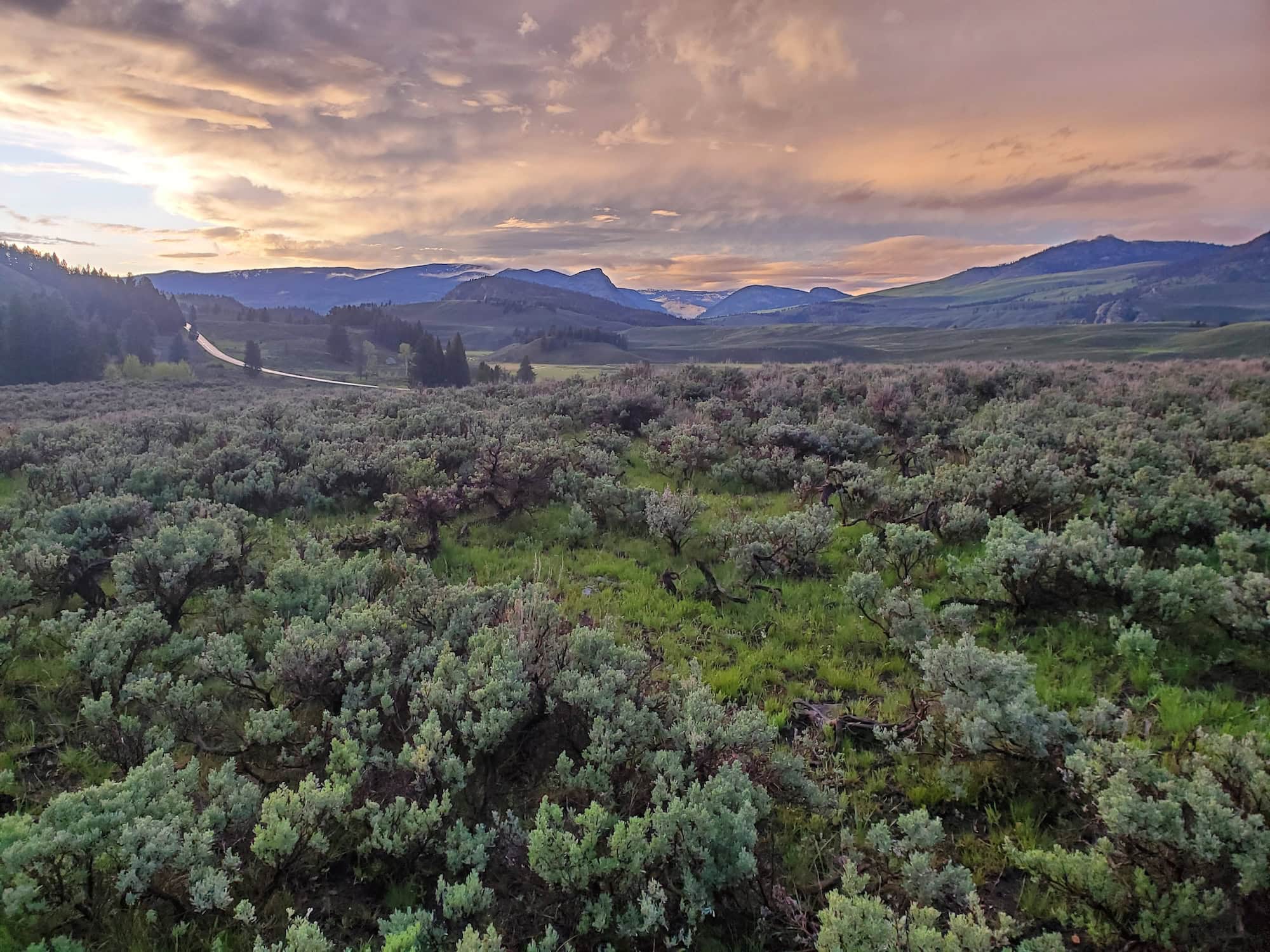 Aerial view looking over Yellowstone