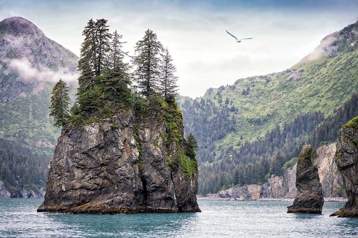 alaska national parks - Kenai Fjords