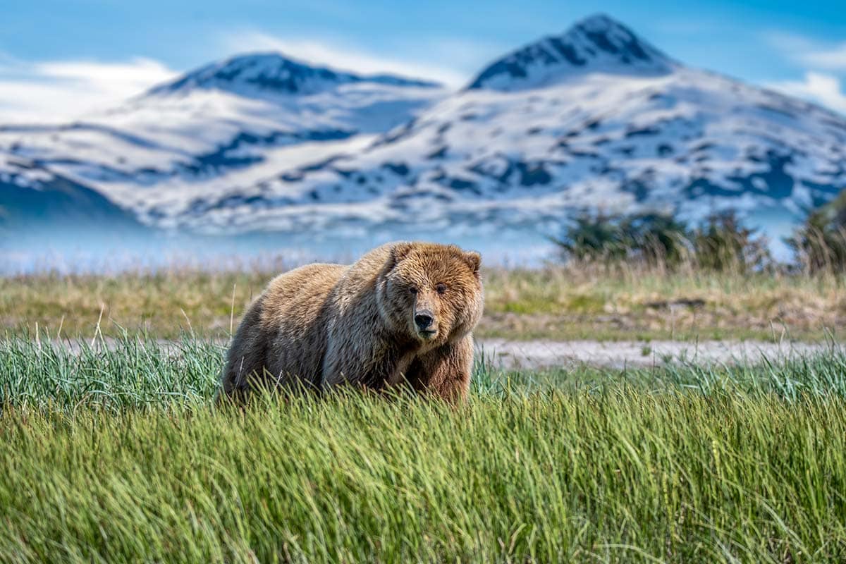 alaska national parks - lake clark