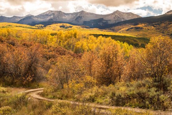 Autumn colors shine at Kebler Pass