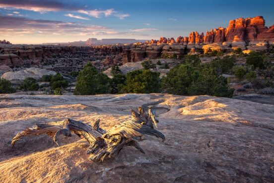 backpacking canyonlands np