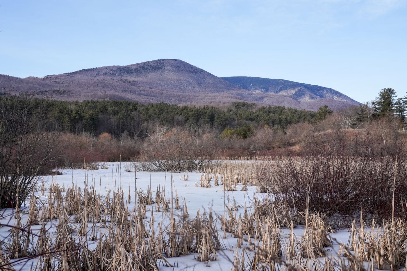 Battenkill River Trail