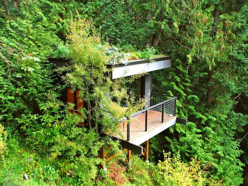 bellingham washington treehouse airbnb