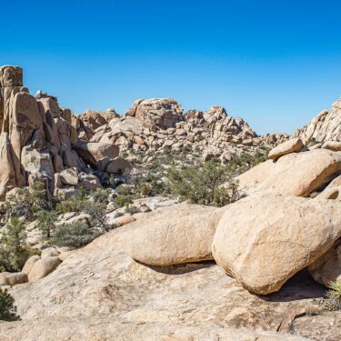 best backpacking in joshua tree natl park