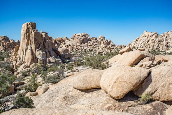 best backpacking in joshua tree natl park