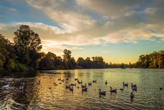 best campgrounds eugene oregon