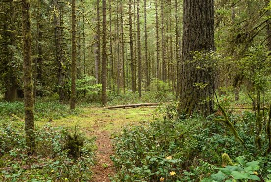 best campgrounds portland oregon