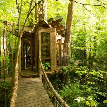 best georgia treehouse rentals