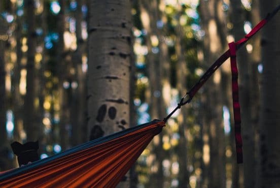 best hammock tree straps