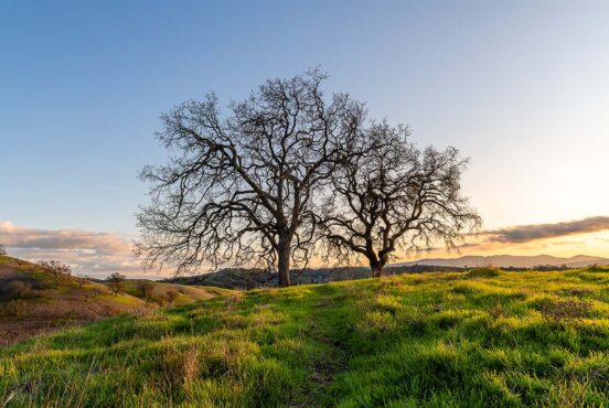 best hikes east bay area