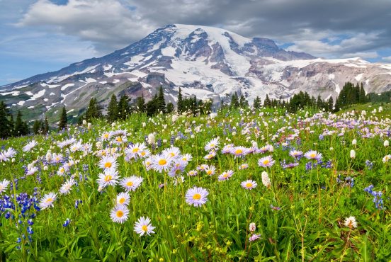 best hikes mt rainier national park