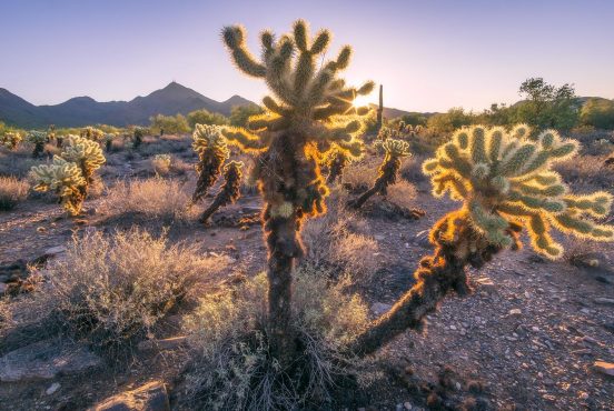 best hikes scottsdale