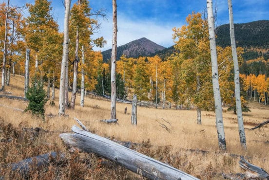 best hiking near flagstaff