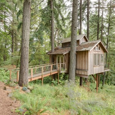 best oregon treehouse rentals