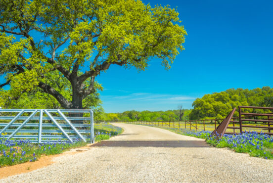 best scenic drives in texas