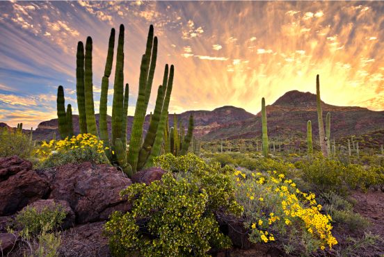 best winter camping spots in arizona