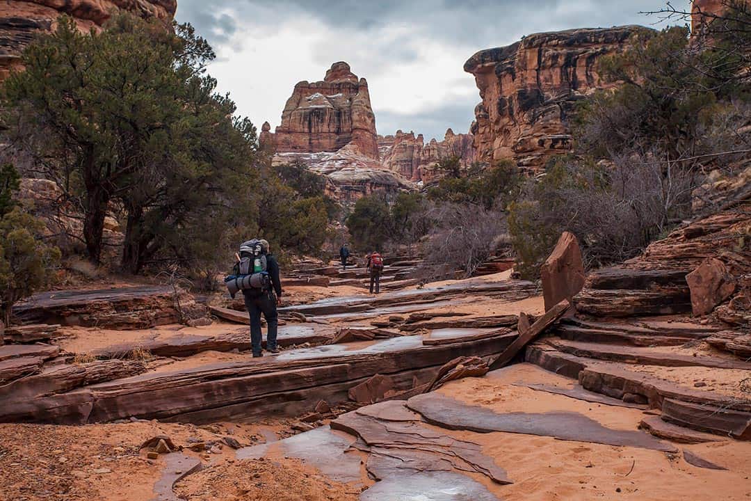 big needles loop