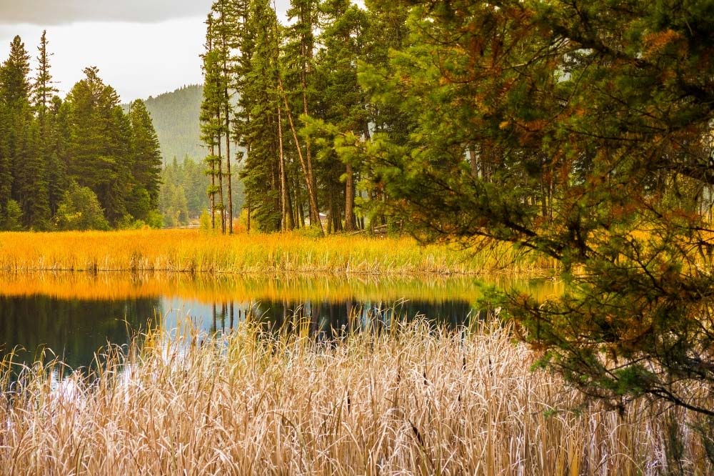 Bonaparte Lake Campground Washington