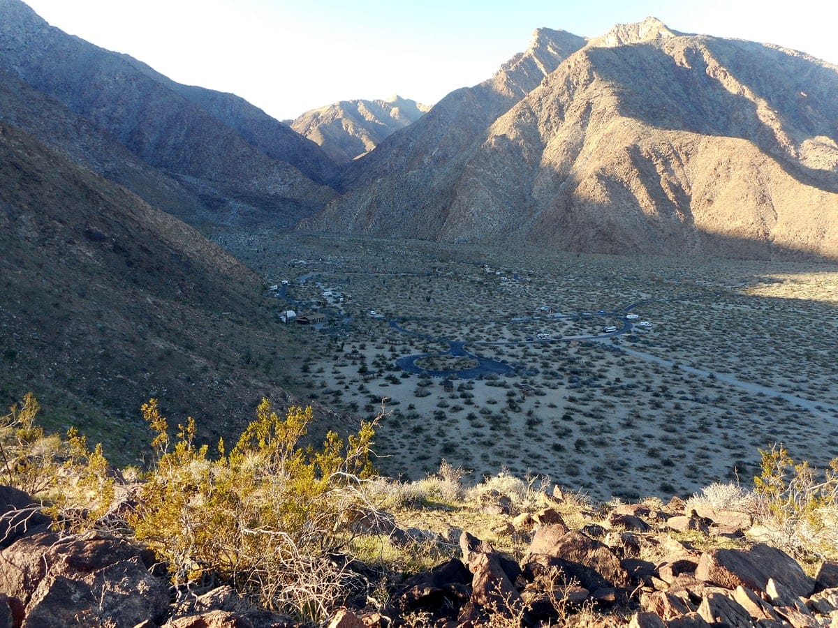 Borrego Palm Canyon Campground