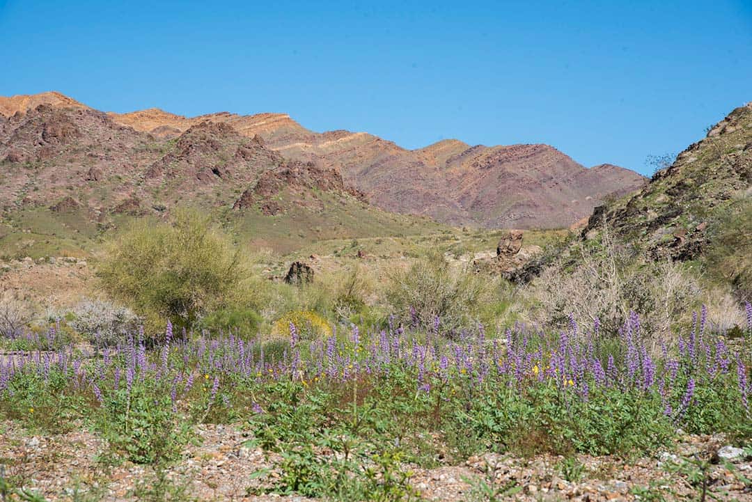 bradshaw trail backcountry byway