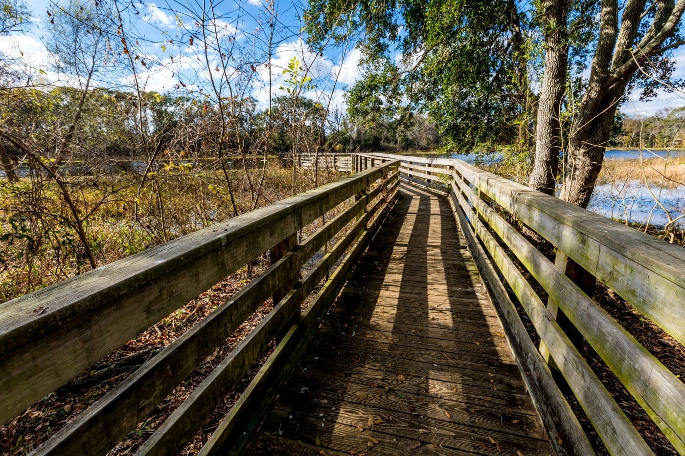 Brazos Bend State Park