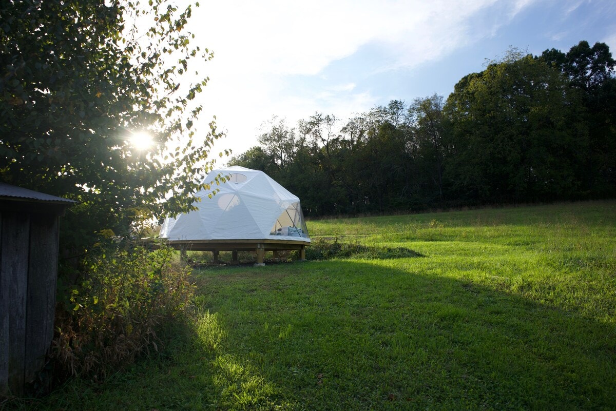 Bucky Dome virginia