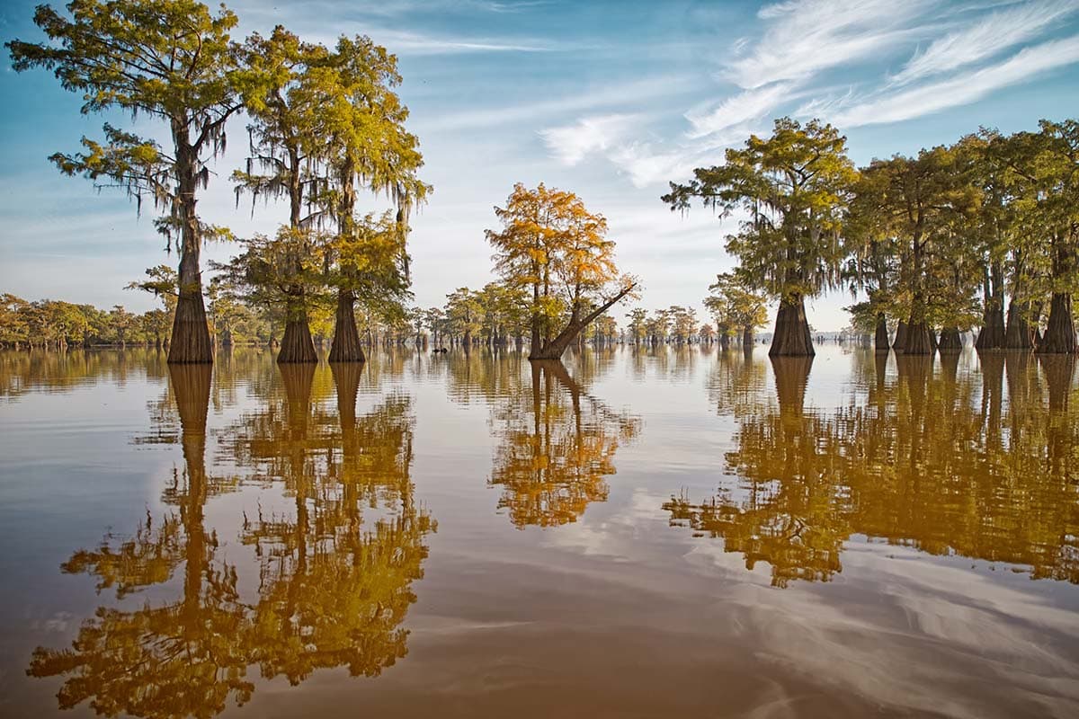 Caddo Lake State Park Tx