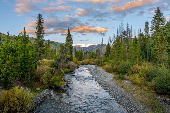 camping medicine bow routt national forests