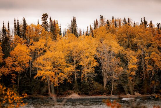 camping near duluth minnesota