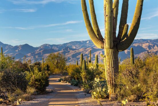 camping near saguaro national park