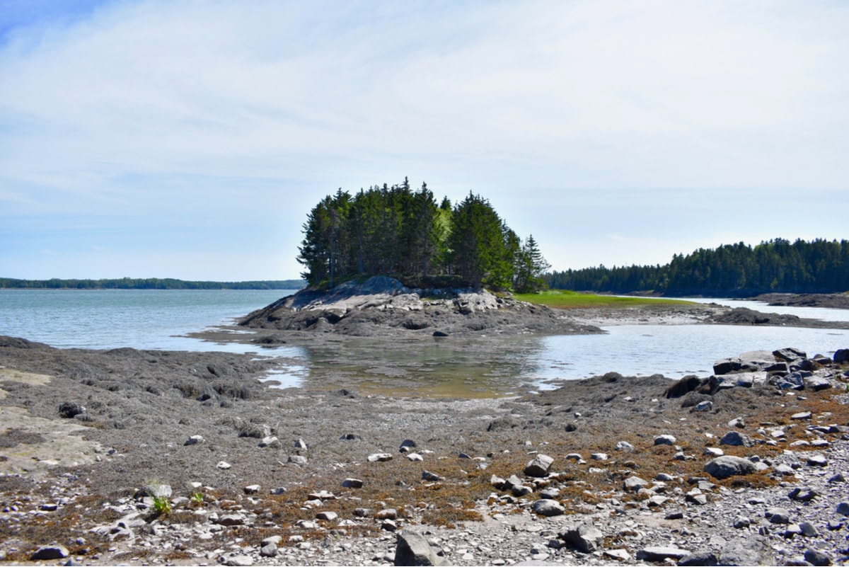 Cobscook Bay State Park