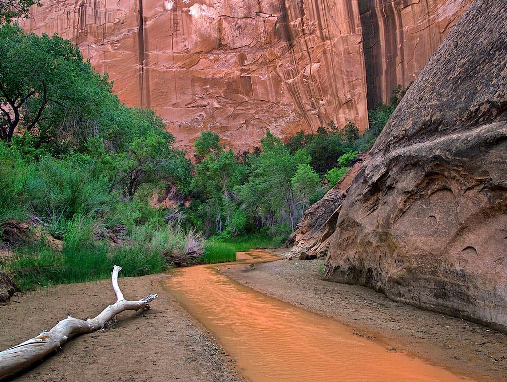 coyote gulch utah