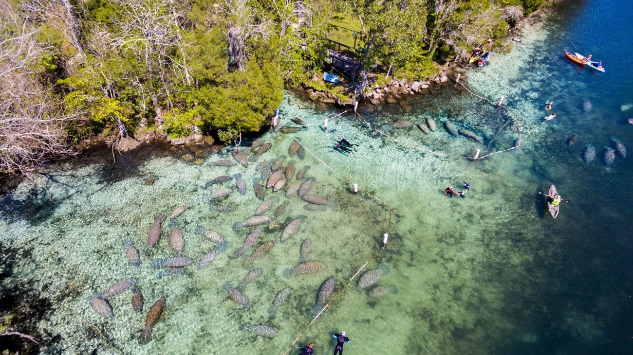 Crystal River florida