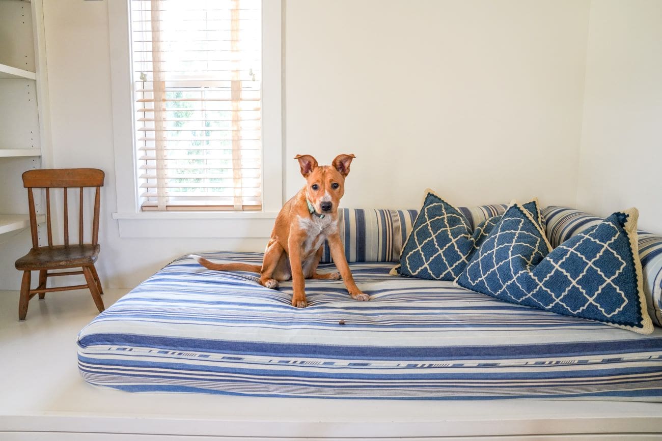 dog friendly hill farm inn