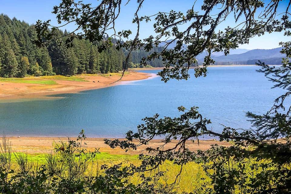dorena lake
