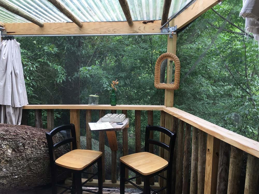 florida treehouse airbnbs