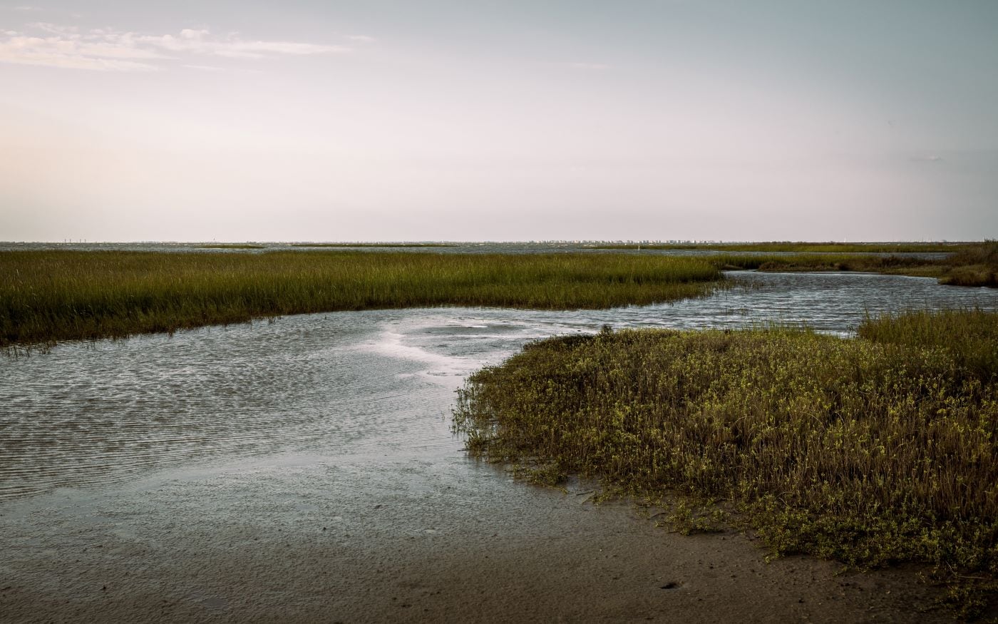 Galveston Island State Park