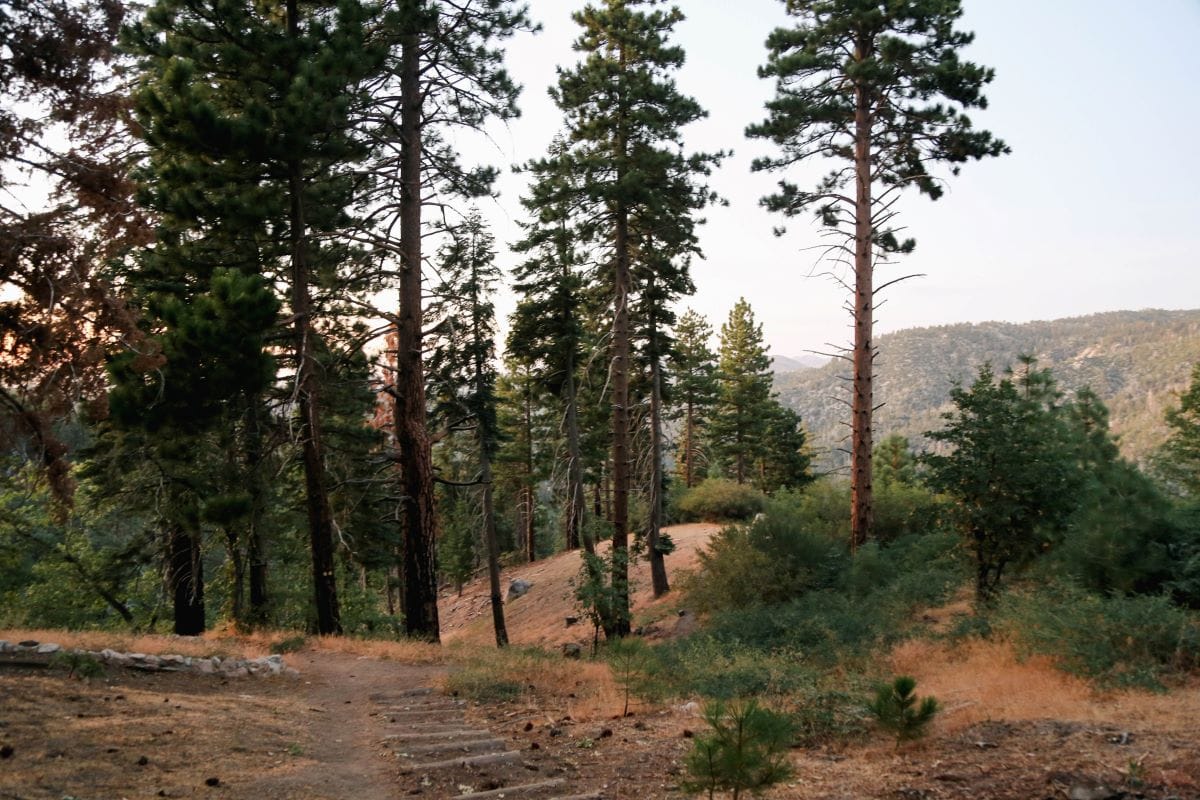getaway big bear nature path