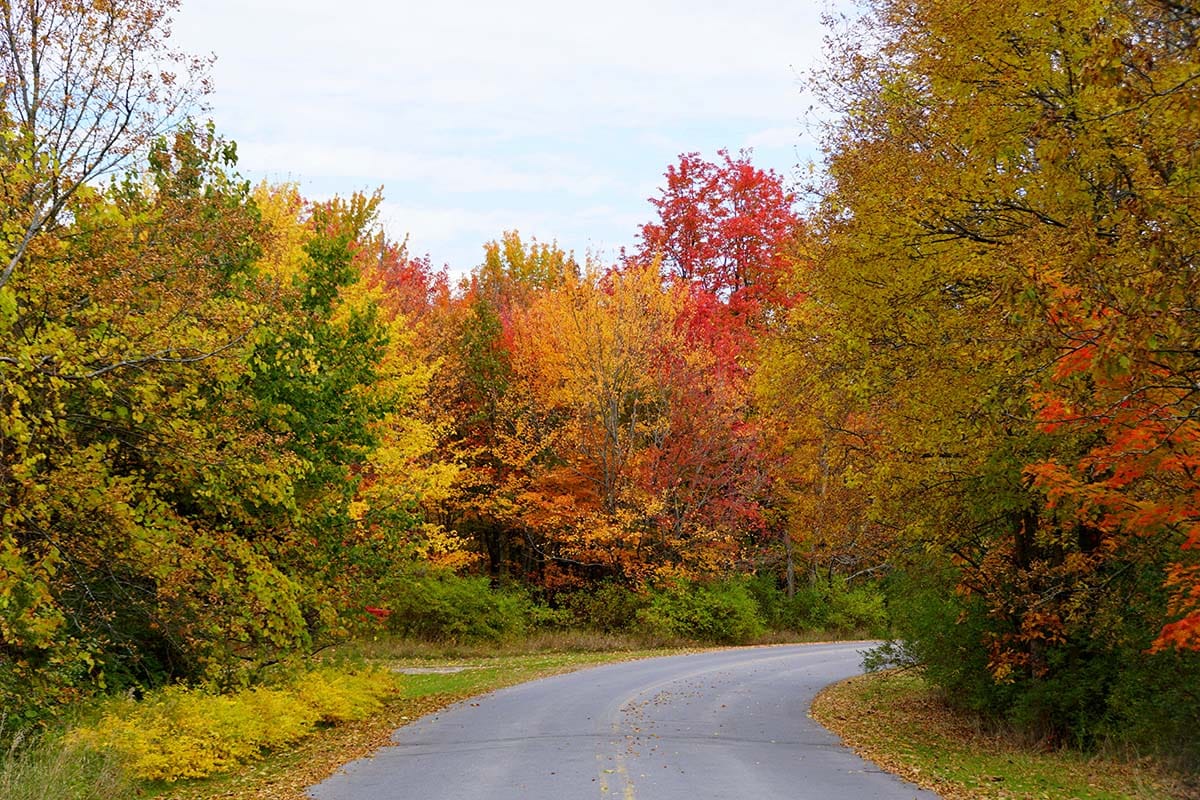 great lakes islands - Wellesley Island