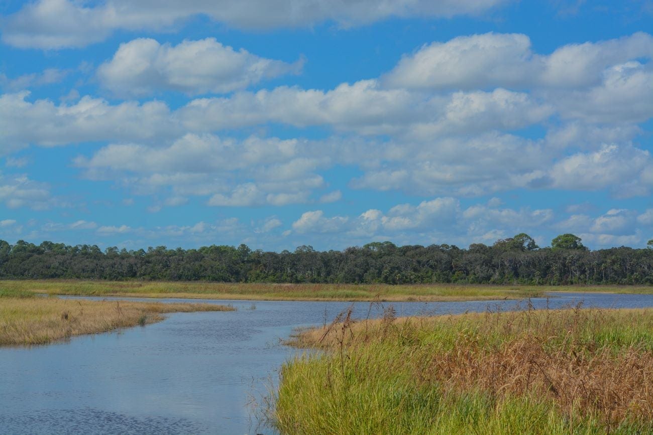 Guana River Wildlife Management Area florida