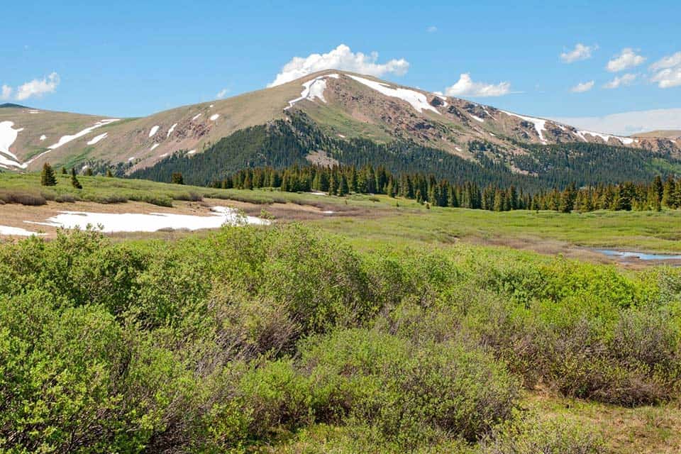 guanella pass free camping colorado
