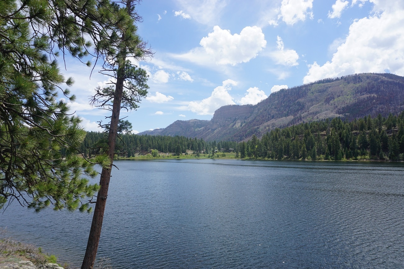 Campgrounds in San Juan Forest