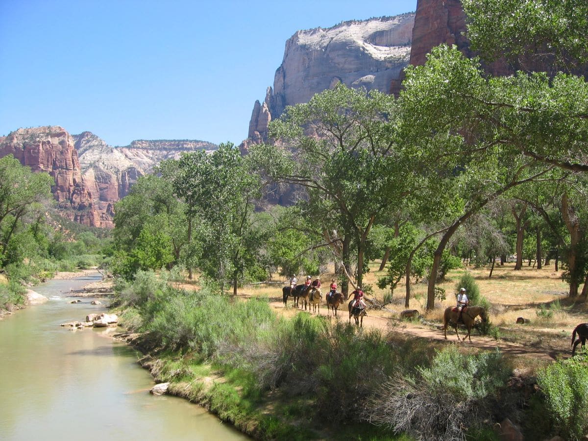 horseback riding zion