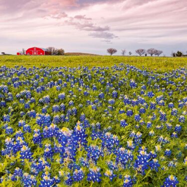 houston to austin road trip