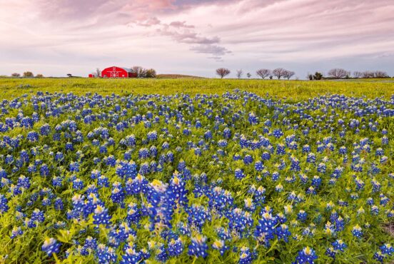 houston to austin road trip