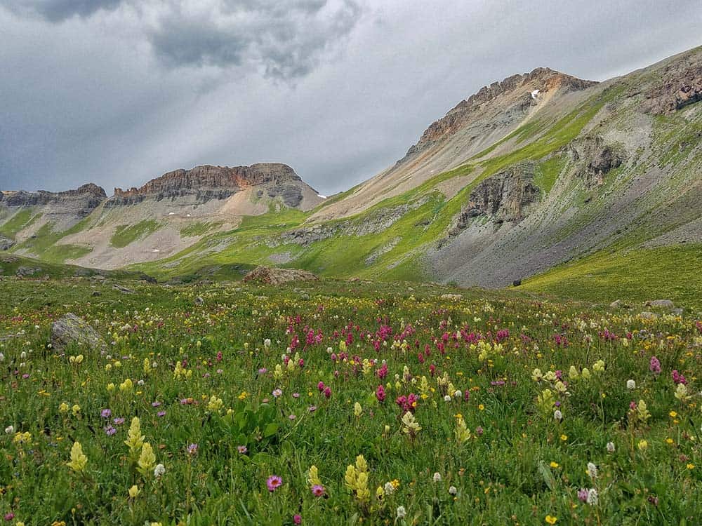 ice lake basin wildflower season