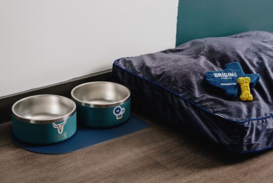 international dog day at origin hotel austin