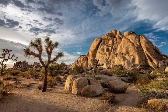 Joshua Tree National Park Hikes