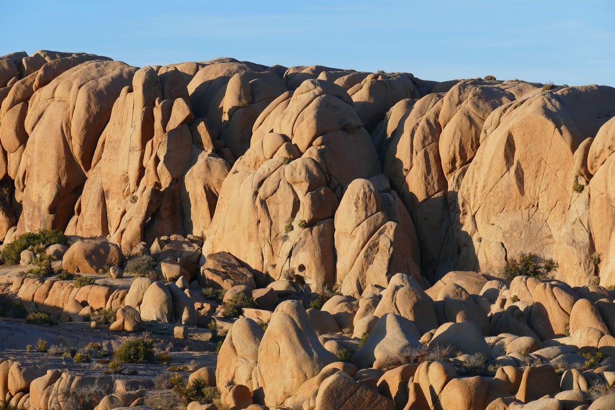 Jumbo Rocks Campground