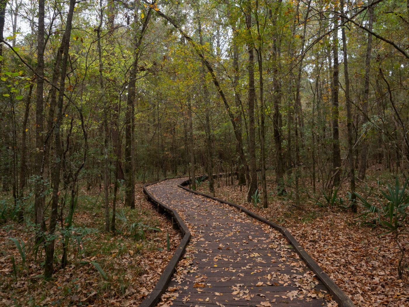 Lake Livingston State Park